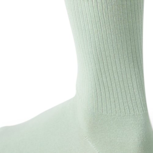 OMSA ECO 254
