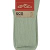 OMSA ECO 254