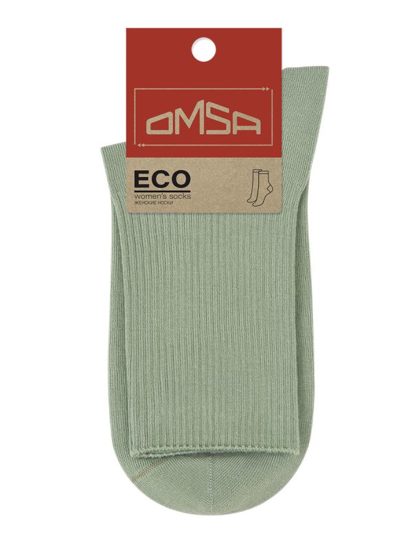 OMSA ECO 254
